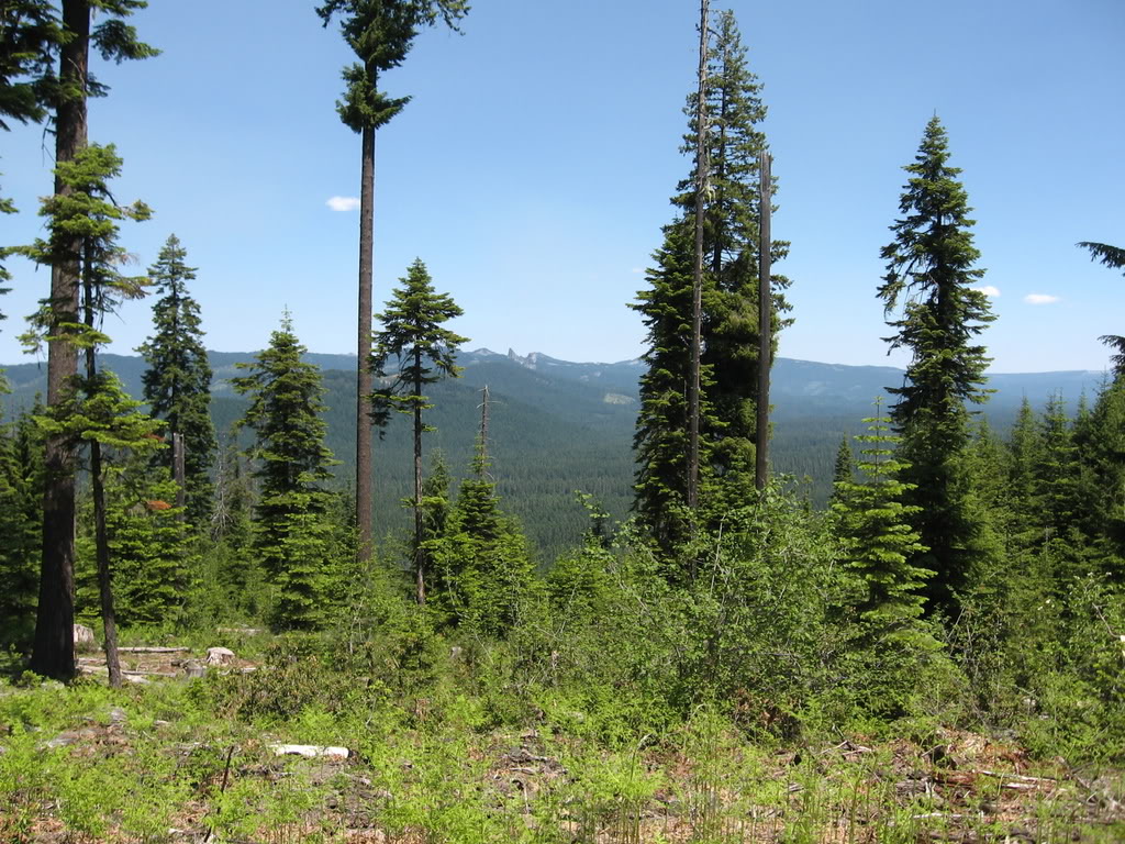 Name: 6-28-08041.jpg
Views: 18
Size: 251.9 KB