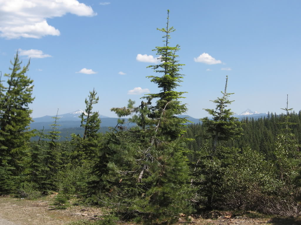 Name: 6-28-08046.jpg
Views: 20
Size: 179.6 KB