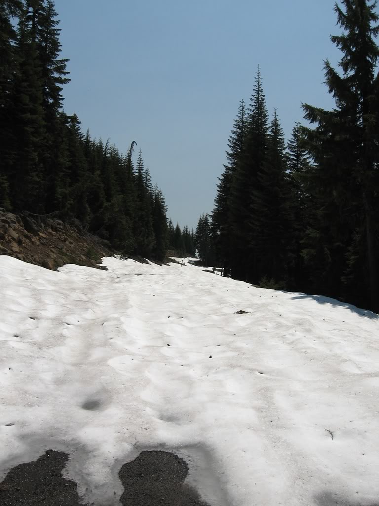 Name: 6-28-08058.jpg
Views: 21
Size: 105.1 KB