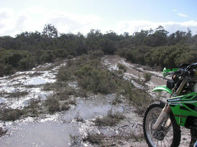 Name:  PICT0042.jpg
Views: 17
Size:  84.4 KB