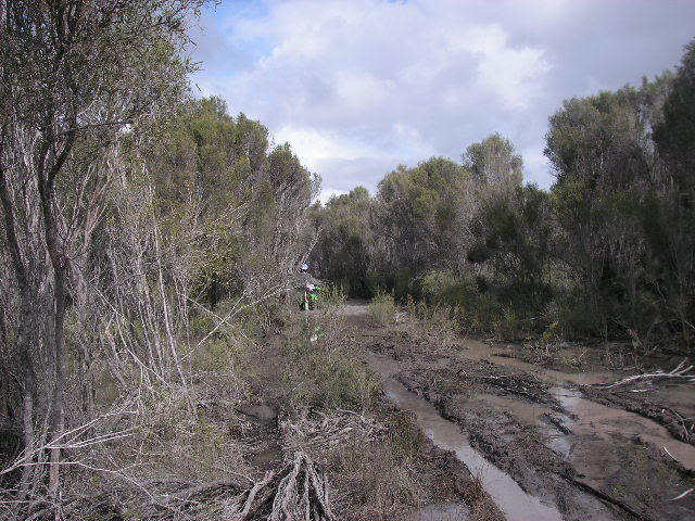 Name:  PICT0044.jpg
Views: 15
Size:  87.2 KB