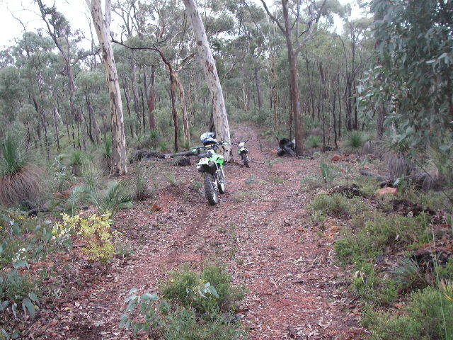 Name:  PICT0039.jpg
Views: 14
Size:  99.9 KB