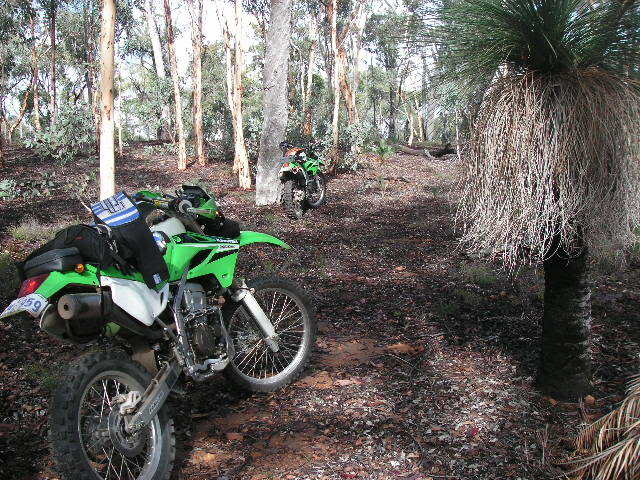 Name:  PICT0040.jpg
Views: 18
Size:  95.7 KB