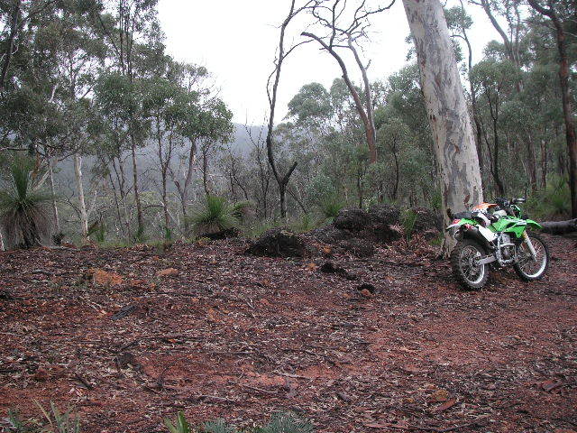 Name:  PICT0037.jpg
Views: 17
Size:  102.0 KB