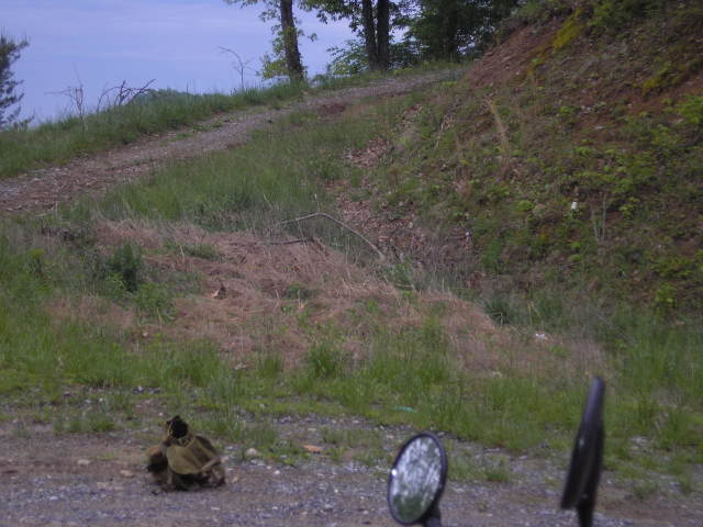 Name:  jrock012.jpg
Views: 28
Size:  44.0 KB