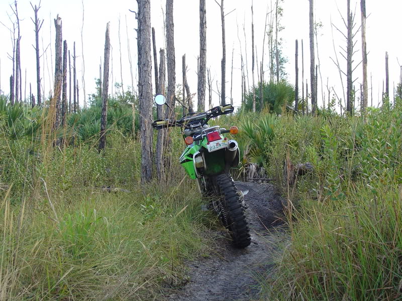 Name:  DSC00043.jpg
Views: 91
Size:  174.7 KB