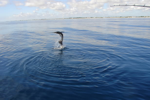 Name:  GoodJump.jpg
Views: 81
Size:  42.6 KB