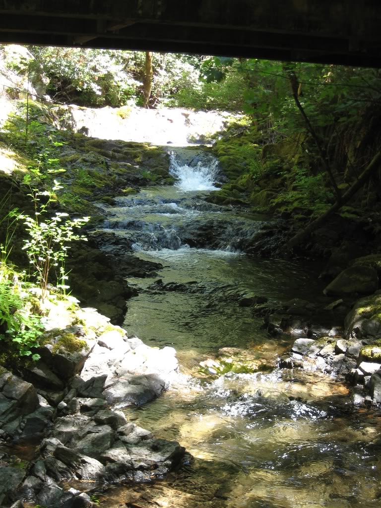 Name:  6-07-08013.jpg
Views: 306
Size:  225.8 KB