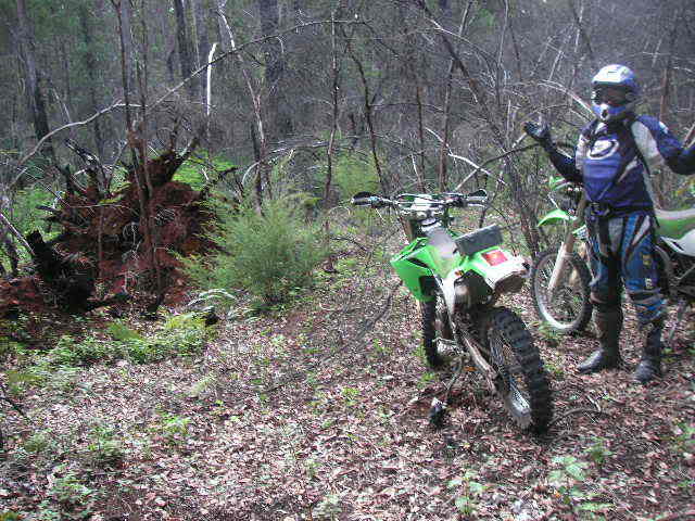 Name:  EndOfTheTrack.jpg
Views: 122
Size:  59.8 KB