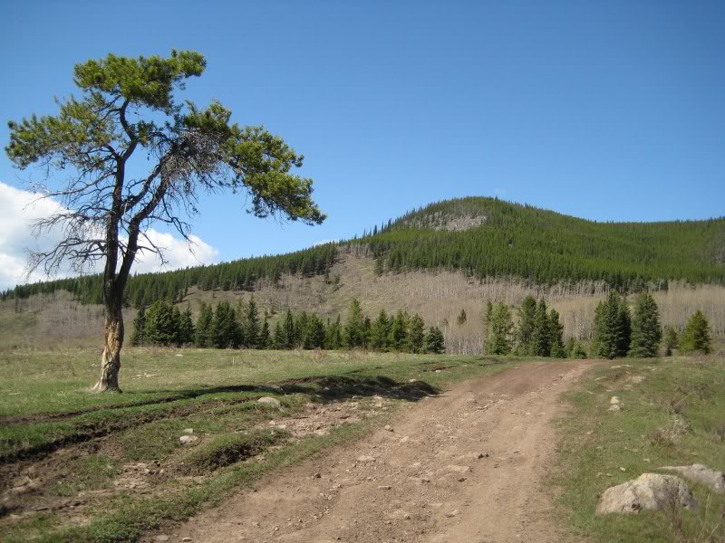 Name: McleanCreekRide036_800x600.jpg
Views: 35
Size: 107.5 KB