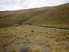 Fridays joy ride-dsc01331.jpg