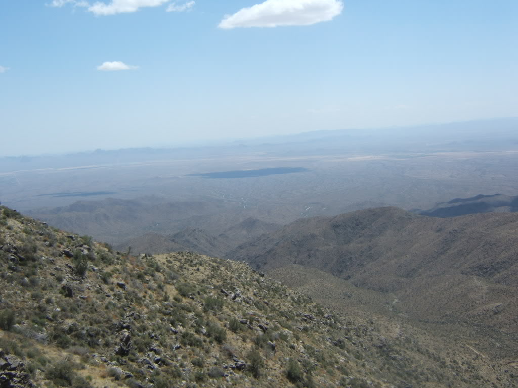 Name:  HarquahalaMtn023.jpg
Views: 68
Size:  98.3 KB