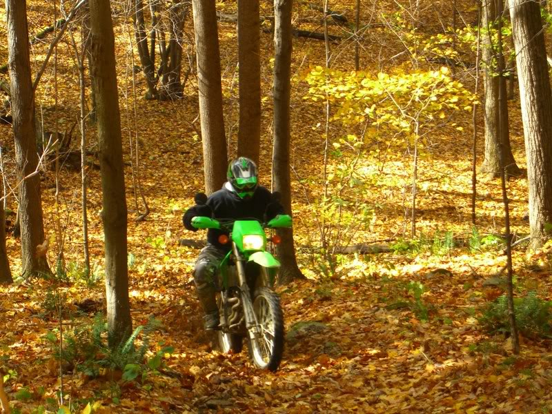 Name:  102807DSRide_6.jpg
Views: 1931
Size:  209.3 KB