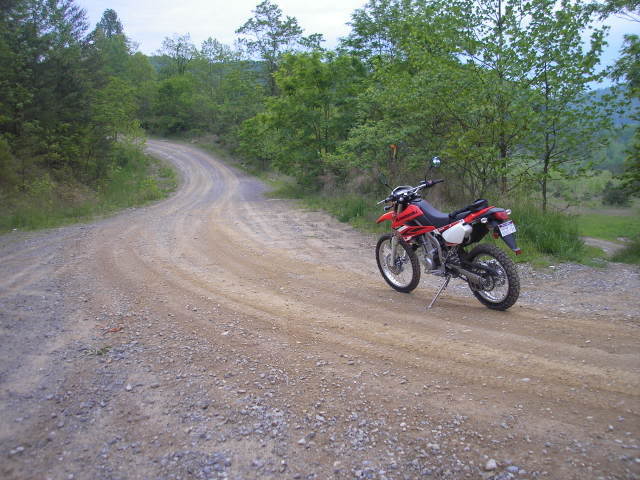 Name:  bike3.jpg
Views: 1929
Size:  62.0 KB