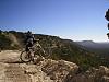 Jetting advice?-bronte-bullit-2.jpg