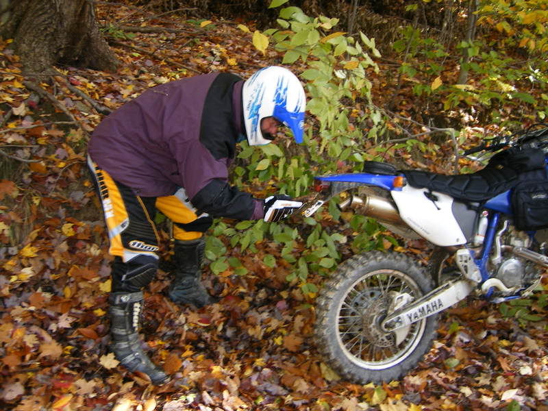 Name: 2006_11290026.jpg
Views: 22
Size: 109.0 KB