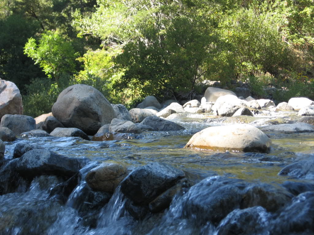 Name:  08-04-07090.jpg
Views: 273
Size:  211.4 KB