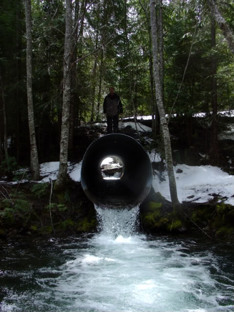 Name:  DSC02167.jpg
Views: 56
Size:  86.3 KB