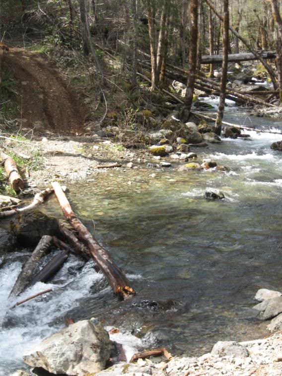 Name:  3-26-08082.jpg
Views: 60
Size:  99.5 KB