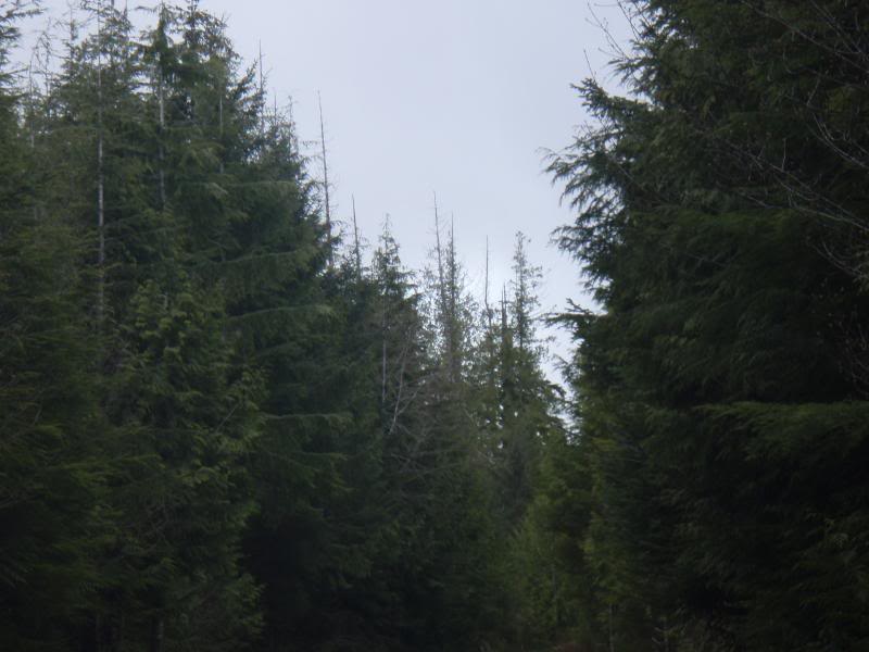 Name:  P4204755.jpg
Views: 23
Size:  59.6 KB