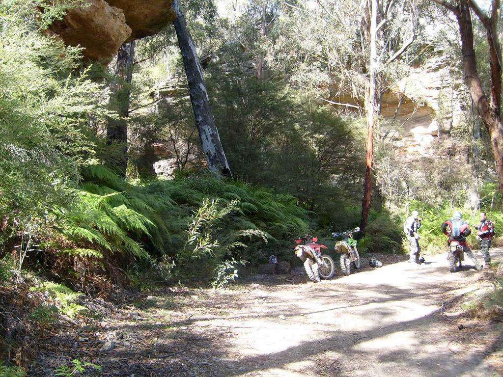 Name: gardensofstone1.jpg
Views: 57
Size: 216.3 KB