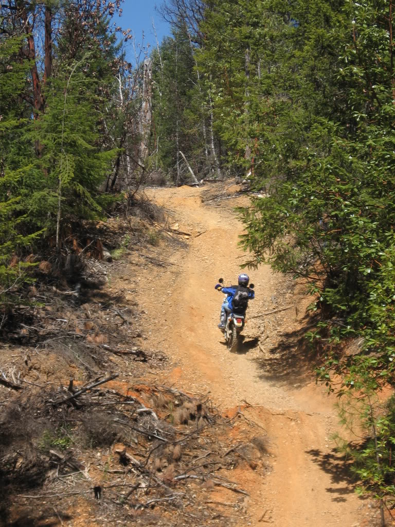 Name:  4-12-08021.jpg
Views: 23
Size:  282.2 KB