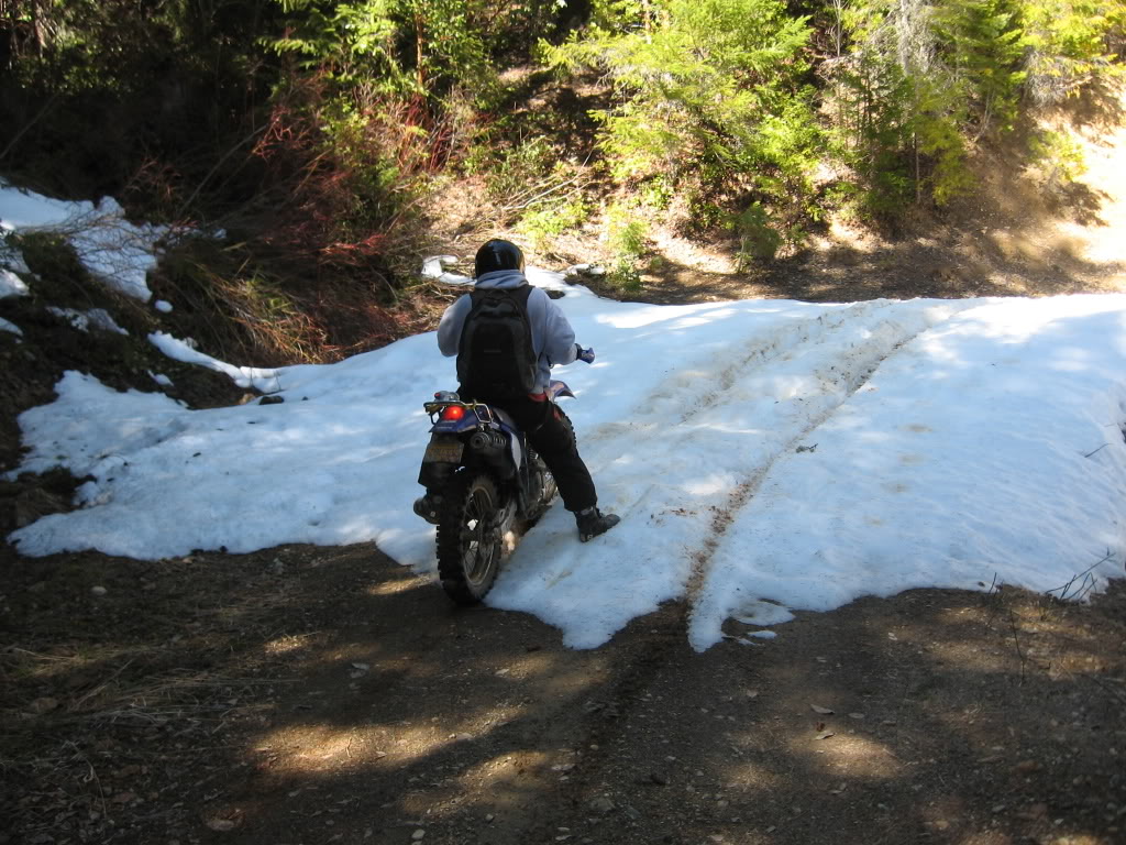 Name:  4-12-08028.jpg
Views: 55
Size:  194.8 KB