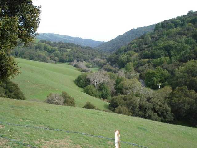 Name:  DSC00317.jpg
Views: 31
Size:  71.3 KB