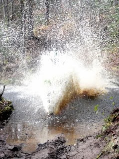 Name: P1000477.jpg
Views: 28
Size: 34.8 KB