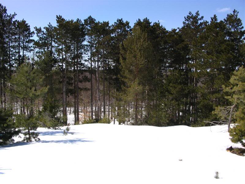 Name: 2008-03-29003Medium.jpg
Views: 92
Size: 80.5 KB