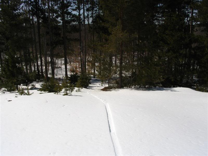 Name: 2008-03-29006Medium.jpg
Views: 37
Size: 57.0 KB