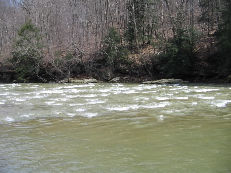 Name:  3-29-08014.jpg
Views: 29
Size:  118.5 KB