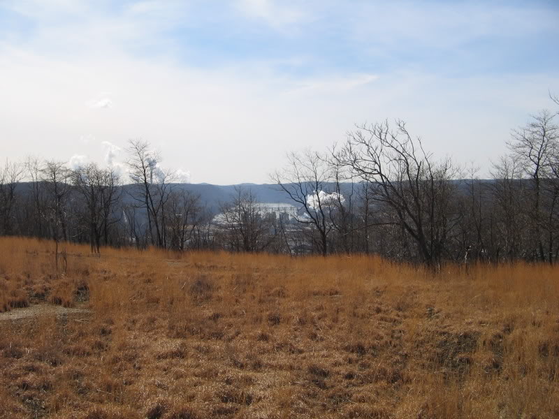 Name:  3-29-08023.jpg
Views: 25
Size:  94.5 KB