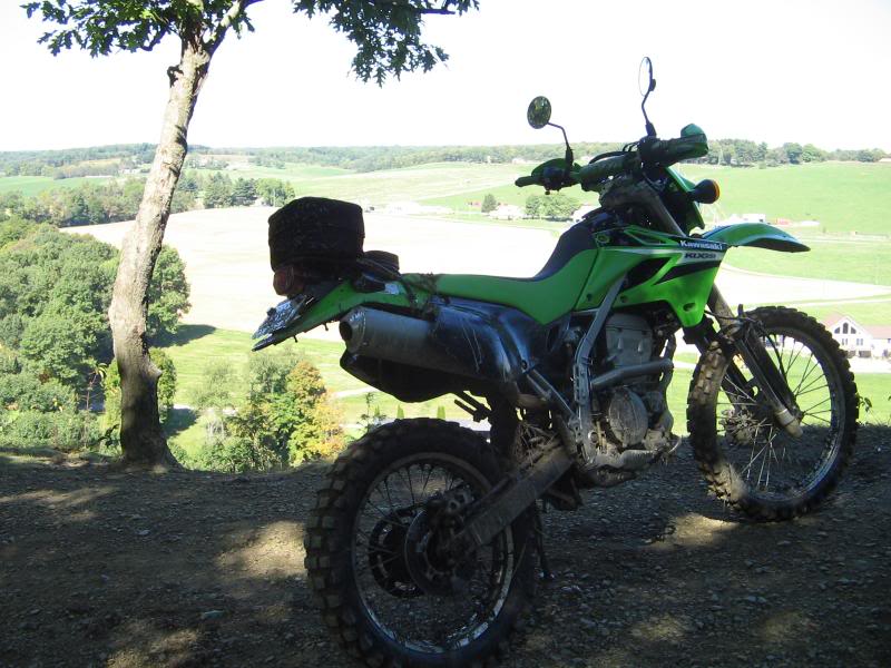 Name:  rufcutriders016.jpg
Views: 33
Size:  85.6 KB