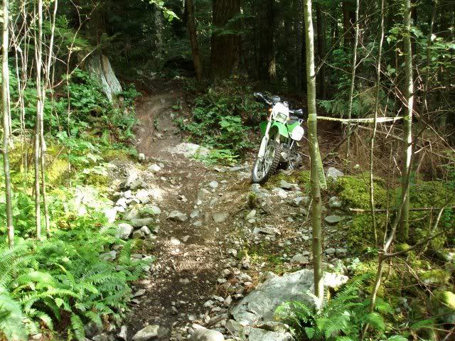 Name: klx250_singletrack.jpg
Views: 190
Size: 116.1 KB