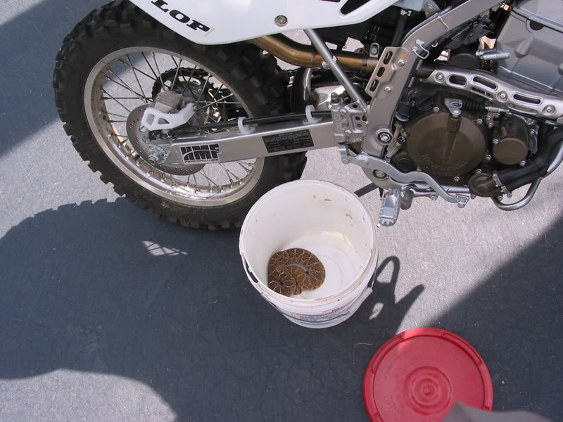 Name:  SNAKE.jpg
Views: 61
Size:  93.4 KB