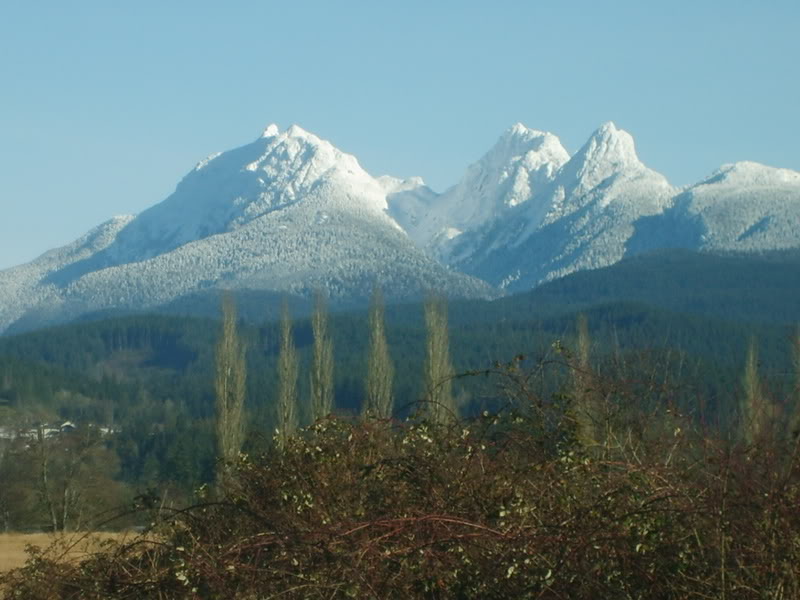 Name:  bikepics106.jpg
Views: 31
Size:  110.8 KB