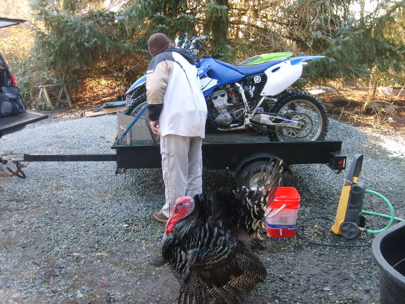 Name:  bikepics119.jpg
Views: 28
Size:  190.1 KB