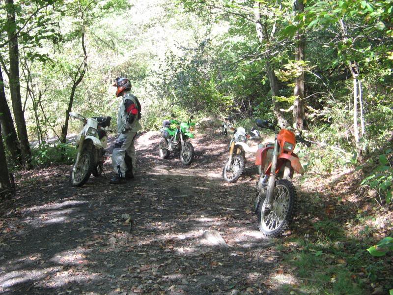 Name:  rufcutriders028.jpg
Views: 23
Size:  147.9 KB