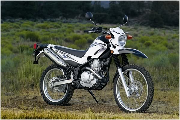 Name:  08xt250_wht_5a_8136e964.jpg
Views: 29
Size:  64.8 KB