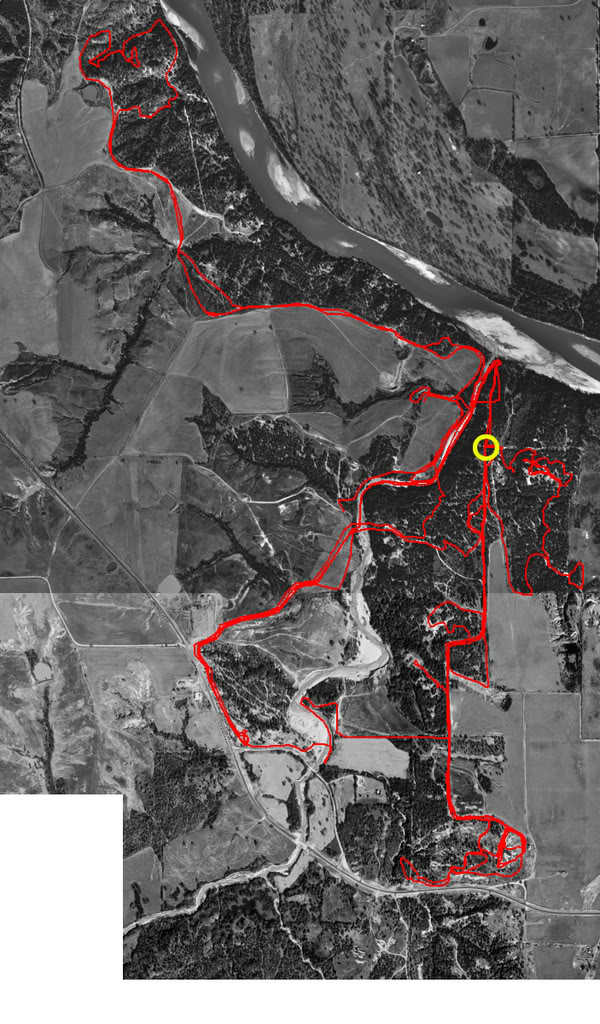 Name:  tracks.jpg
Views: 22
Size:  178.7 KB