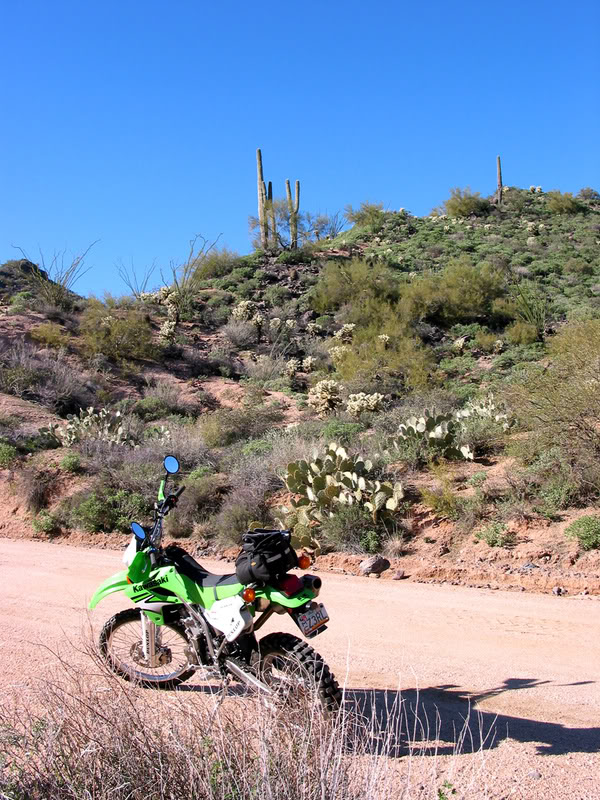 Name: DESERT_RIDE3.jpg
Views: 27
Size: 167.5 KB