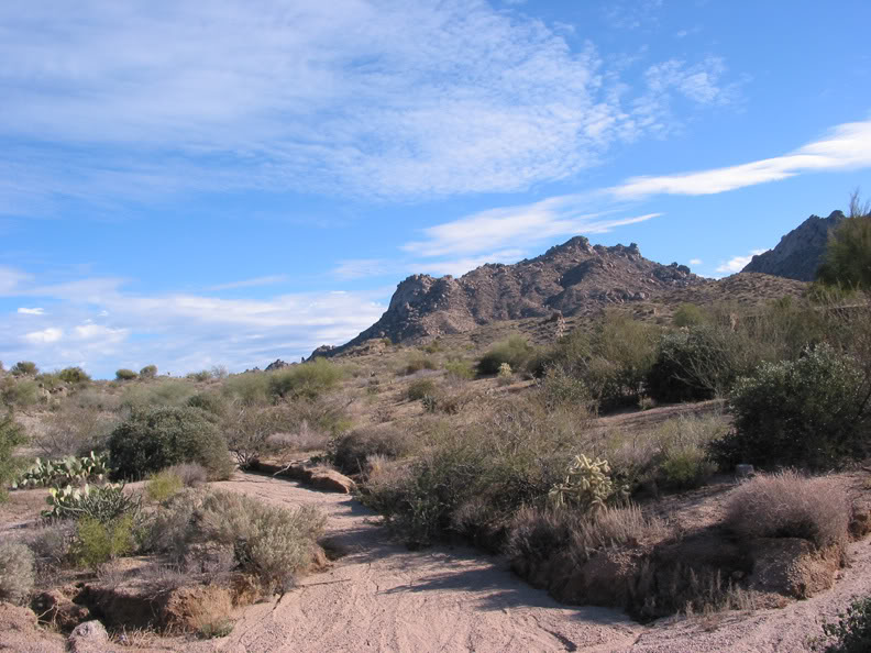 Name:  ride.jpg
Views: 73
Size:  108.6 KB