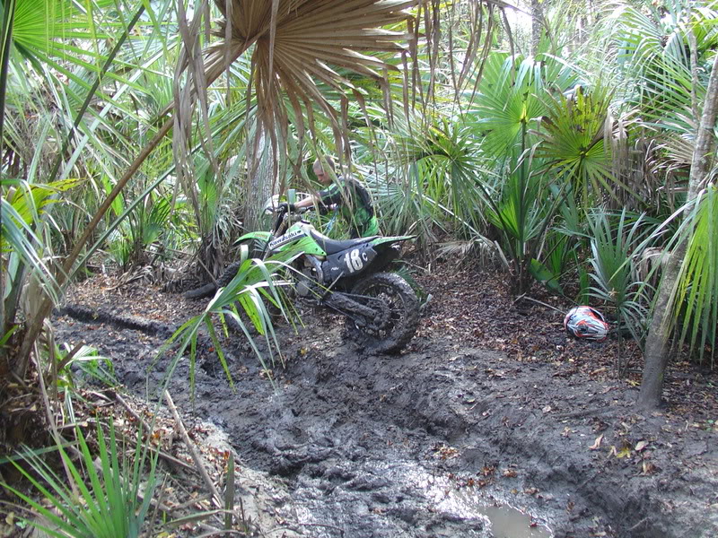 Name:  DSC00025.jpg
Views: 105
Size:  218.9 KB