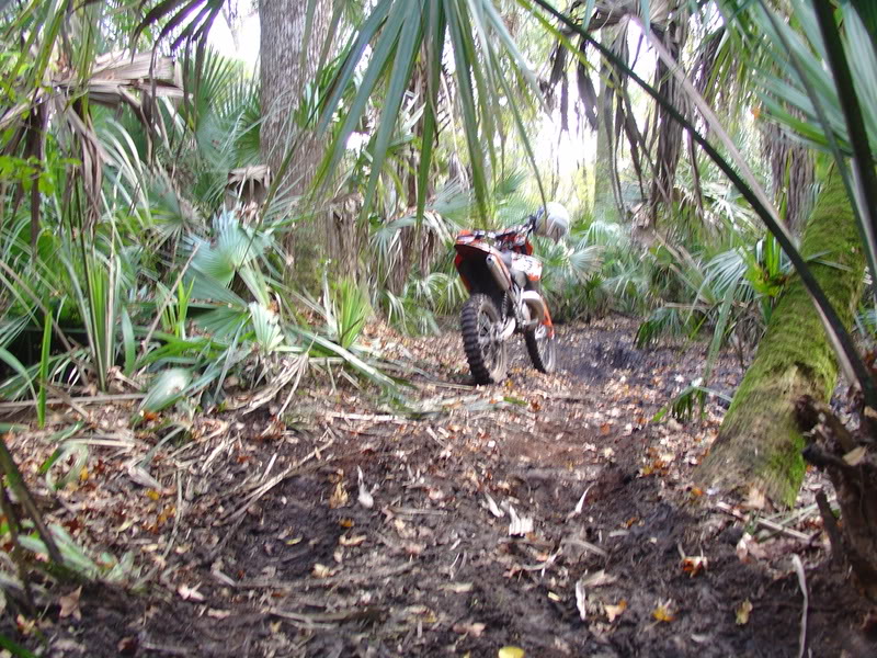 Name:  DSC00026.jpg
Views: 89
Size:  180.8 KB