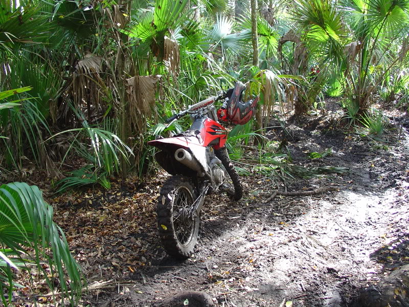 Name:  DSC00029.jpg
Views: 54
Size:  231.0 KB