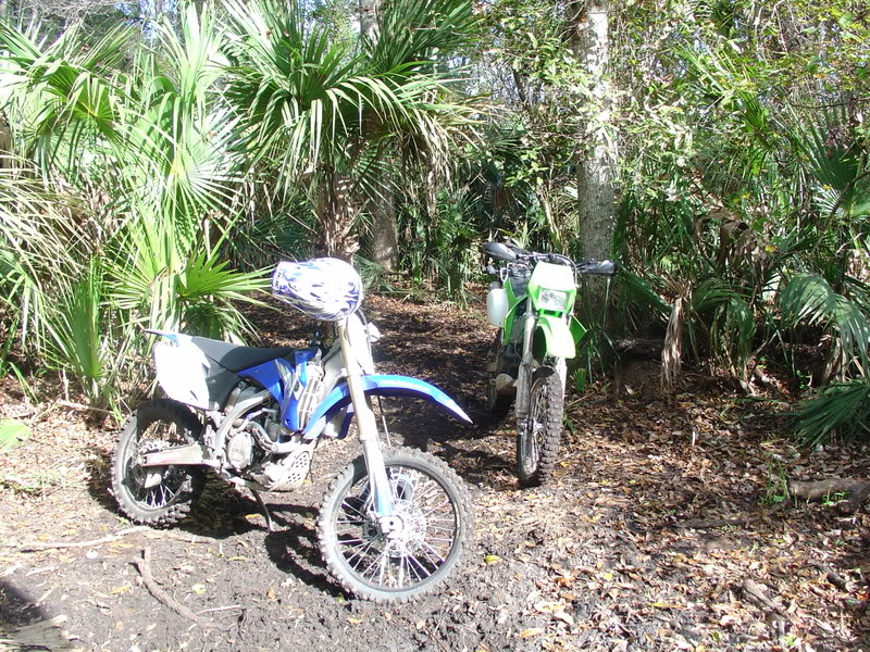 Name:  DSC00027.jpg
Views: 82
Size:  237.8 KB