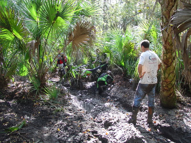 Name:  DSC00031.jpg
Views: 75
Size:  228.1 KB