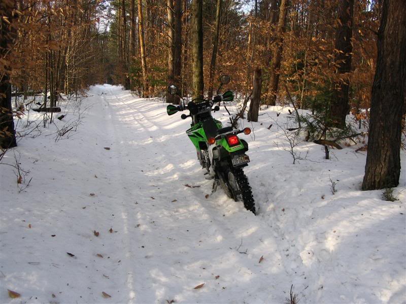 Name:  12-29-2007003Medium.jpg
Views: 36
Size:  85.5 KB