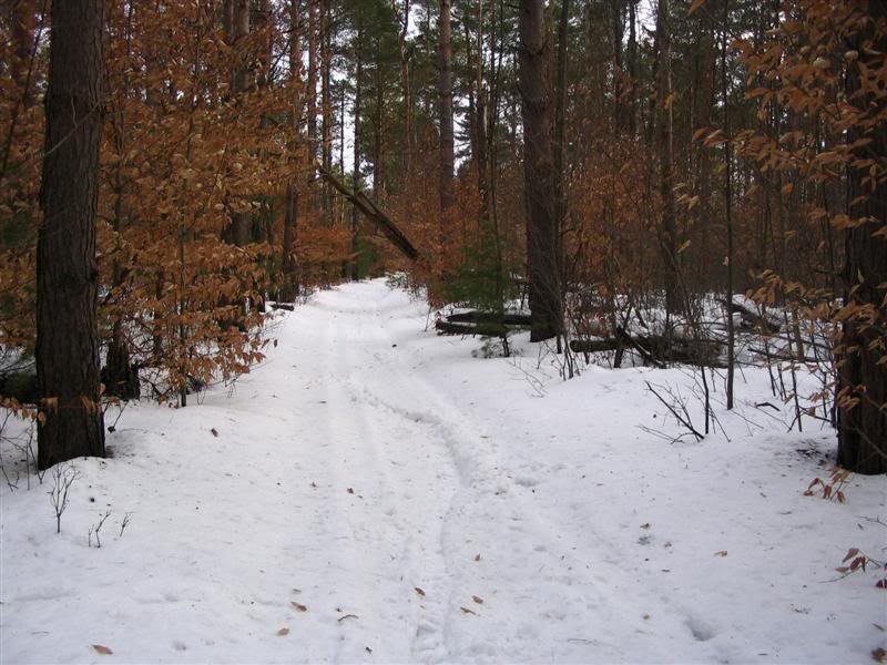 Name:  12-29-2007002Medium.jpg
Views: 76
Size:  85.3 KB